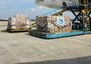 Cargo-Services